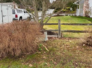 Bush Trimming by Bradley Whittaker for Danielle H. in Bothell, WA