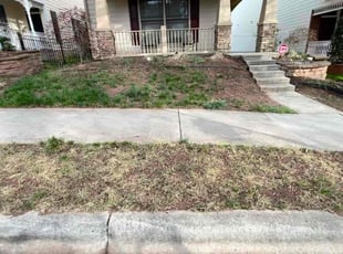 Leaf Removal by Caitlin Hough for Andrew s. in Morrisville, NC