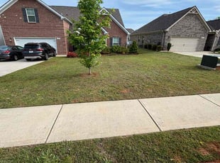Bianca A.'s Lawn Care service result