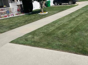 Krista D.'s Lawn Mowing service result