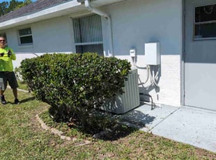 Bush Trimming by Jr Valle for Michelle L. in Palm Coast, FL