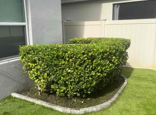 Beverly K.'s Flower Bed Weeding service result