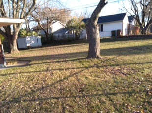 Bush Trimming by Lo Lo Musacari for William D. in Fairborn, OH