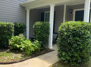 Bush Trimming by Matthew Lynough for Sean F. in Raleigh, NC