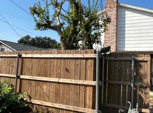 Jessica R.'s Landscaping service result