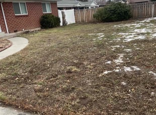 Leaf Removal by Javier Granados for BJ T. in Salt Lake City, UT
