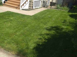Gail G.'s Lawn Care service result