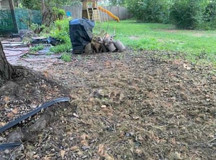 Cindy B.'s Cleanups service result