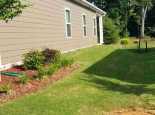 Natacha R.'s Lawn Service service result