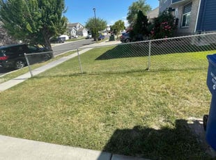 Juanita W.'s Lawn Service service result