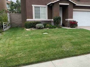 Cleanups by Edward Walsh for Victoria C. in Fontana, CA
