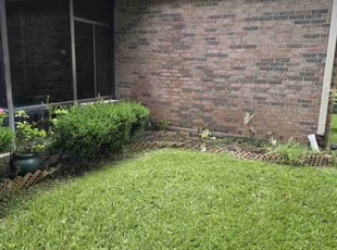 Weeding by Hugo Melgar for Sara H. in Sugar Land, TX