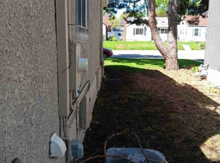 Cleanups by James Rogers for Janis M. in Minneapolis, MN