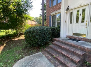 Carl H.'s Bush Trimming service result