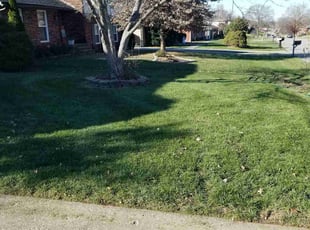 Leaf Removal by Jaden Benn for Mumphord H. in Jeffersontown, KY