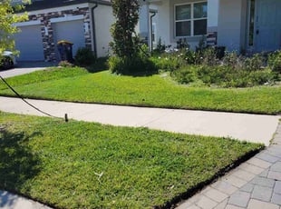 Ryan H.'s Lawn Mowing Service service result