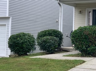 Bush Trimming by Onyeche Smith for Glenn P. in Riverdale, GA