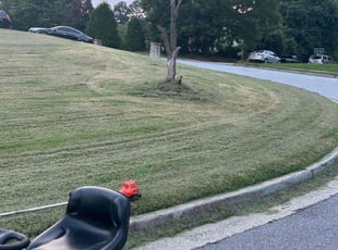 Gary H.'s Bush Trimming service result
