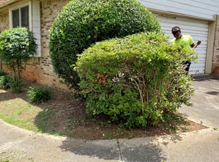 Bush Trimming by Zachary Smith for Michele P. in Conyers, GA