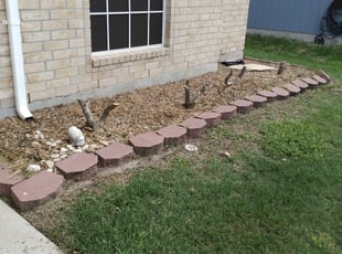 Bush Trimming by Todd Eden for Teresa D. in Corpus Christi, TX