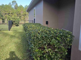 Bush Trimming by Dustin Kielkopf for Dawn G. in Saint Johns, FL