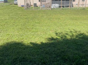 Waliy S.'s Lawn Maintenance service result