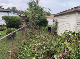 Bush Trimming by Gary Young for Alexander H. in Clinton Township, MI