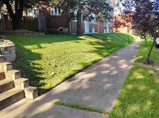 Stan D.'s Lawn Mowing service result