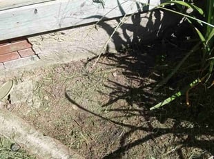 Weeding by Jeremy Partaine for Matt M. in Memphis, TN