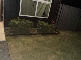 Bush Trimming by Greysi Martinez for Michael D. in Austin, TX