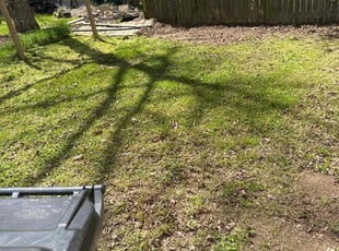 Leaf Removal by James Coward for Stephanie C. in Midlothian, VA