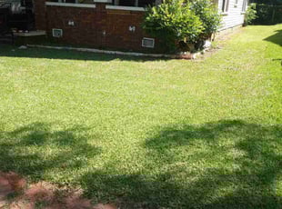 Tamera D.'s Lawn Mowing Service service result