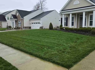 Emanuel J.'s Lawn Mowing Service service result