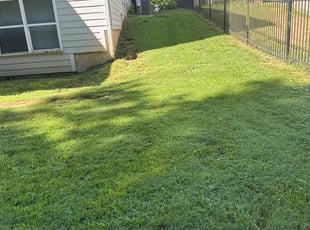 DALE M.'s Bush Trimming service result