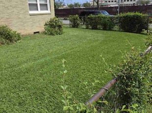 Janelle H.'s Lawn Mowing Service service result