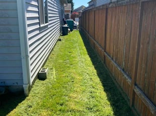 Susan W.'s Lawn Service service result