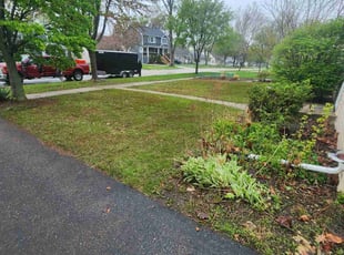 Leaf Removal by Brooke Ardoin for John L. in Lombard, IL
