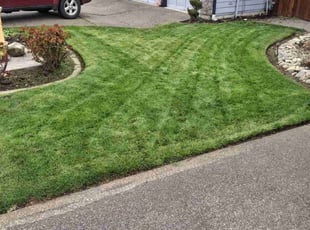 Douglas G.'s Lawn Mowing service result