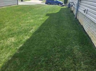 Martha K.'s Lawn Mowing Service service result