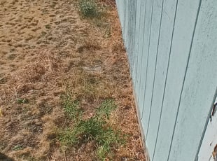 Max M.'s Bush Trimming service result