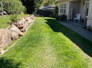 Amy V.'s Lawn Mowing service result