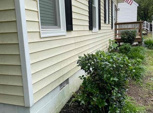 Bush Trimming by Maria Ramos for Ashley K. in Midlothian, VA