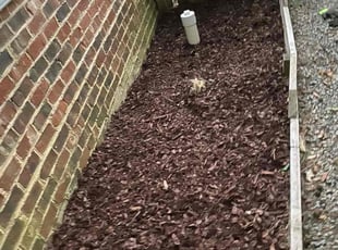 Mulching by Levinne McNeill for Carter H. in Durham, NC