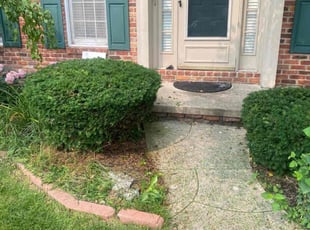Bush Trimming by Phillip Crews for Mei Z. in Perrysburg, OH