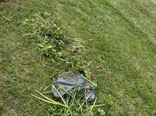 Weeding by Marcus Simon for Courtney S. in Baton Rouge, LA