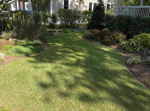 Shereen E.'s Lawn Service service result