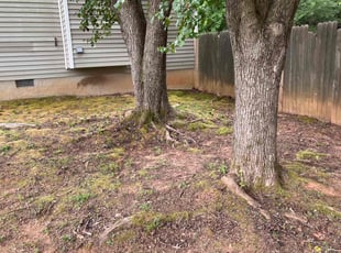 Cleanups by Eric Garcia for Natasha B. in McDonough, GA