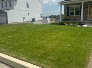 Andre S.'s Lawn Mowing service result