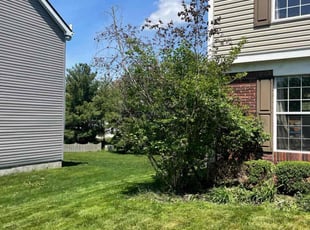 Bush Trimming by Trevor Page for Cindy A. in Powell, OH