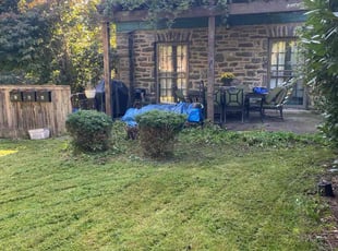 Weeding by Raven Clark for Domenica V. in Philadelphia, PA